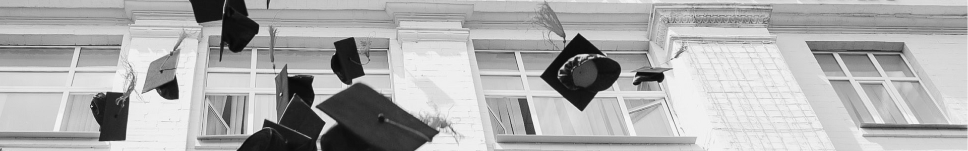 Beste opleider achtergrond